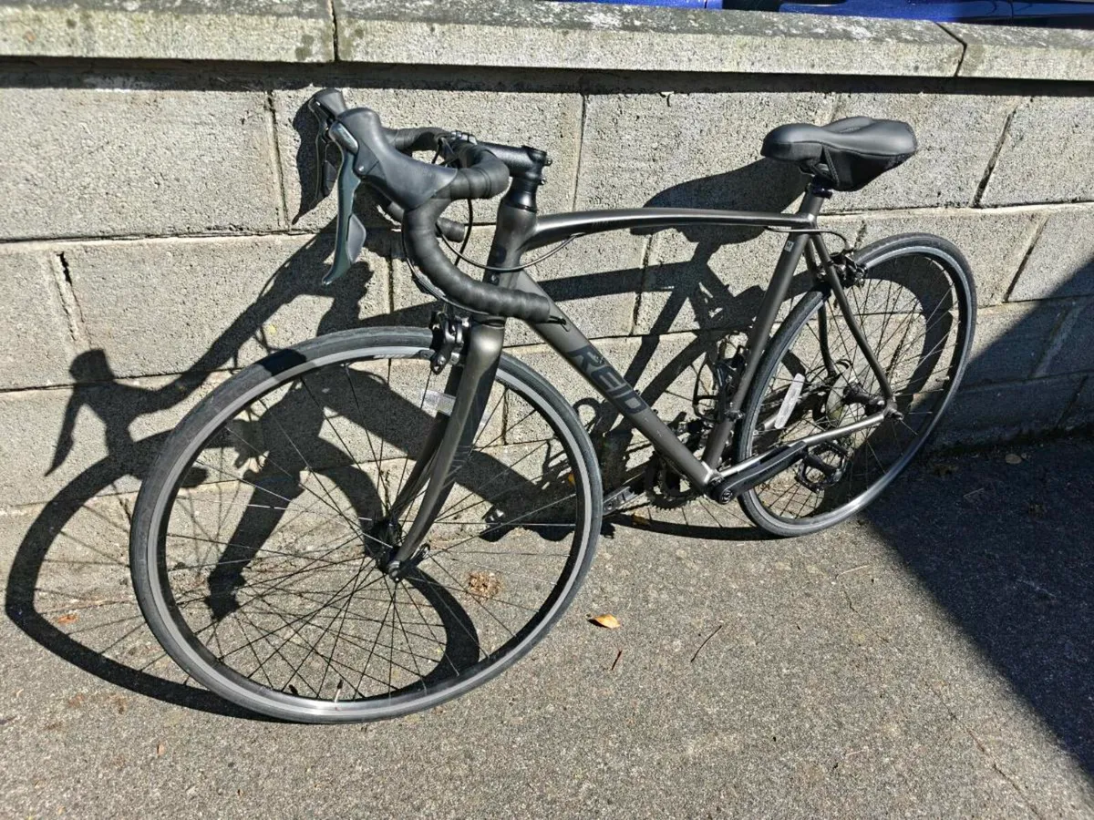 Reid Falco sport M - Image 1