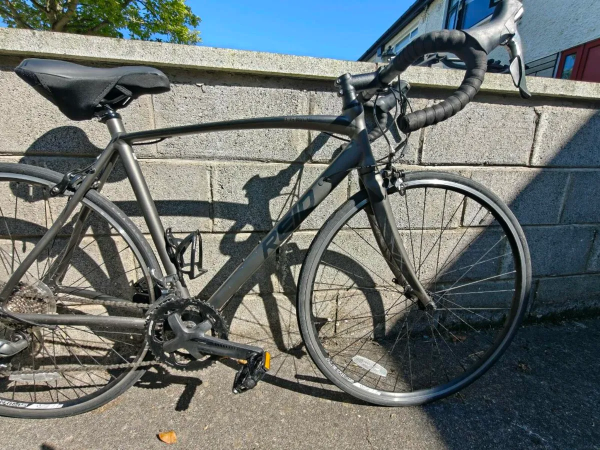 Reid Falco sport M - Image 2