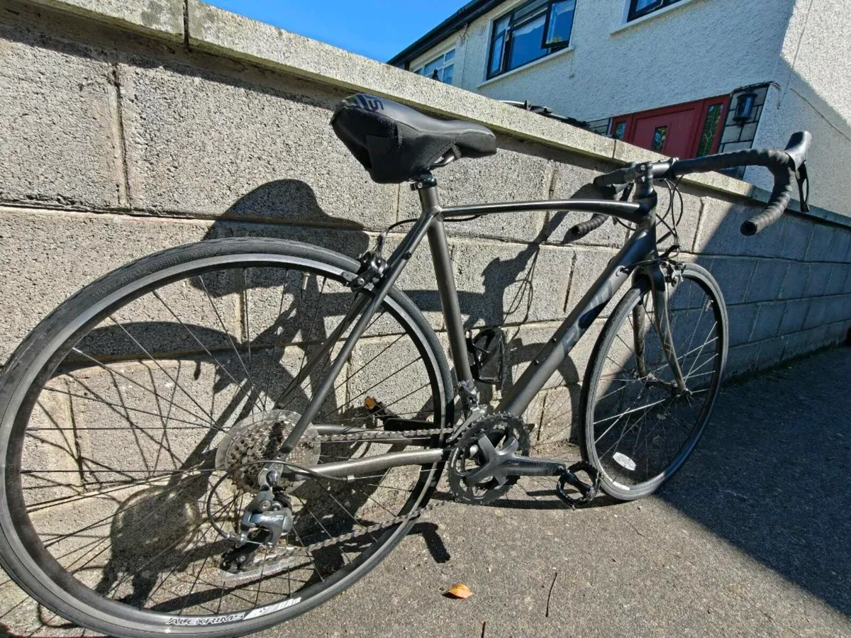 Reid Falco sport M - Image 3