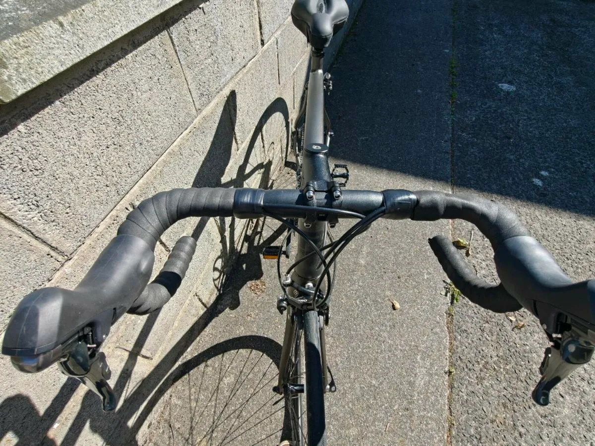 Reid Falco sport M - Image 4