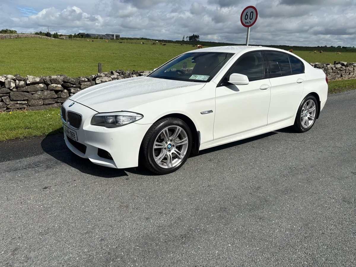 131 bmw 520 d m sport - Image 3