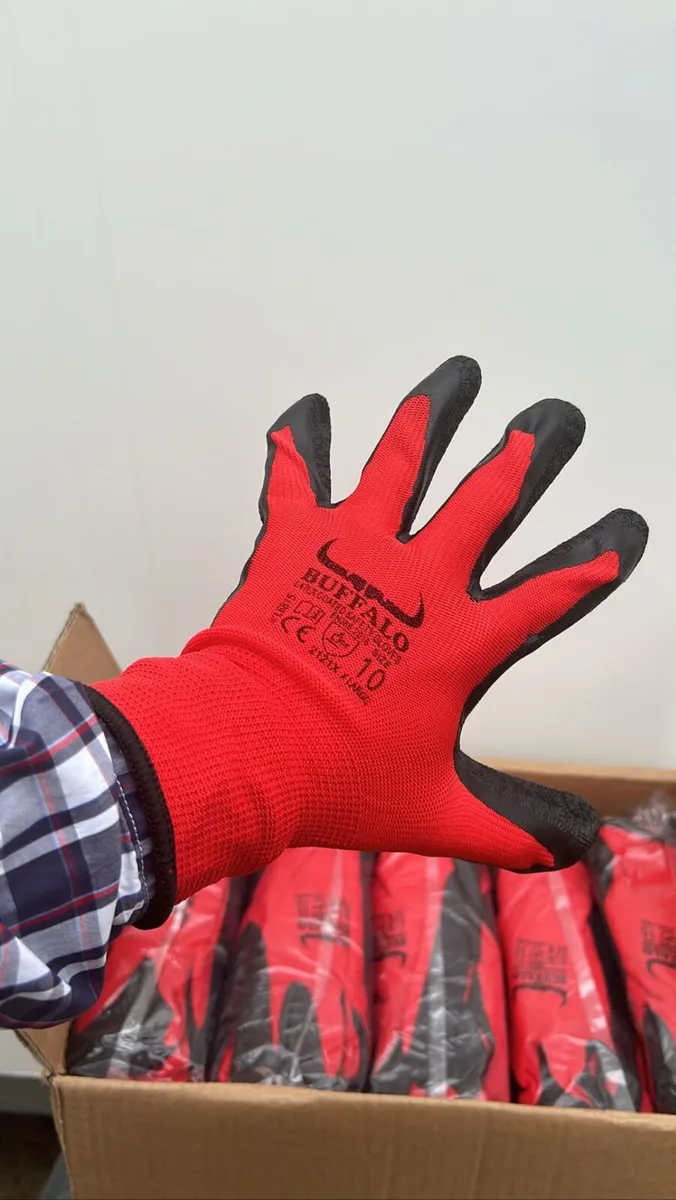 Buffalo latex gloves 110 pairs €100 size 9 10 - Image 1