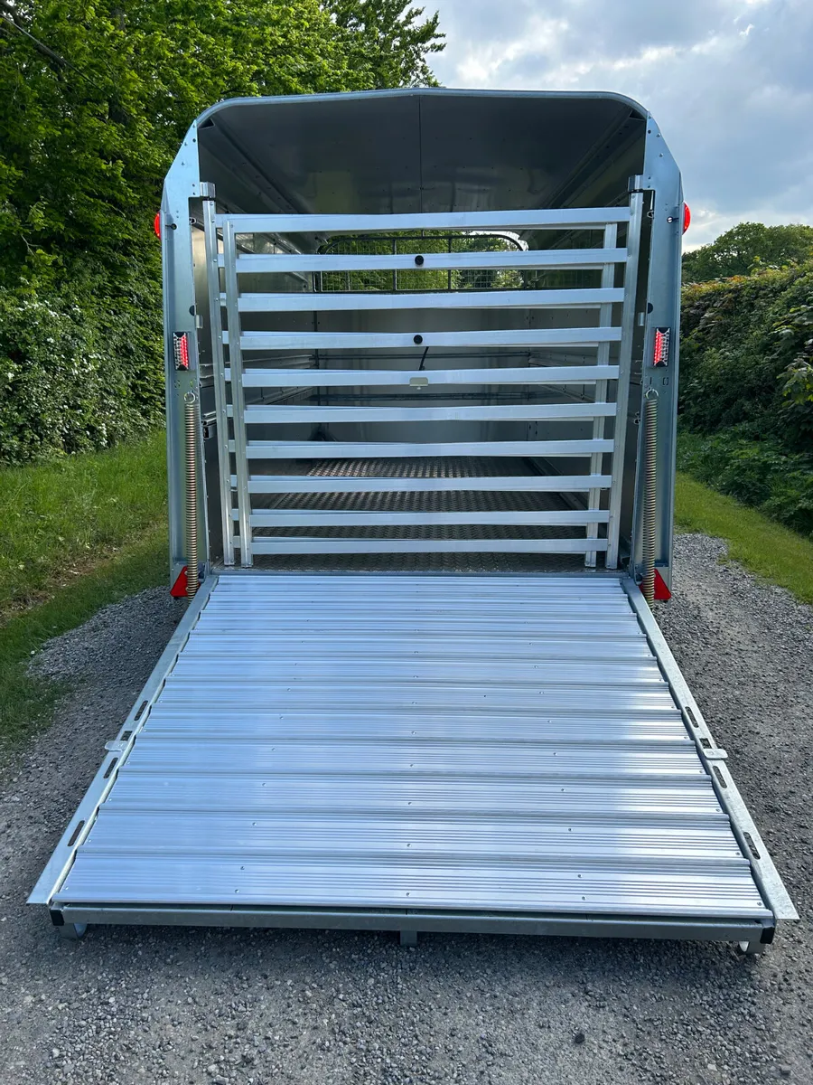 New Ifor Williams 12ft Livestock Trailer - Image 4