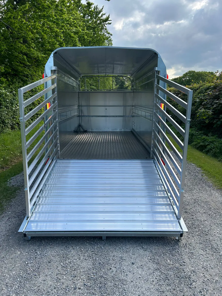 New Ifor Williams 12ft Livestock Trailer - Image 3