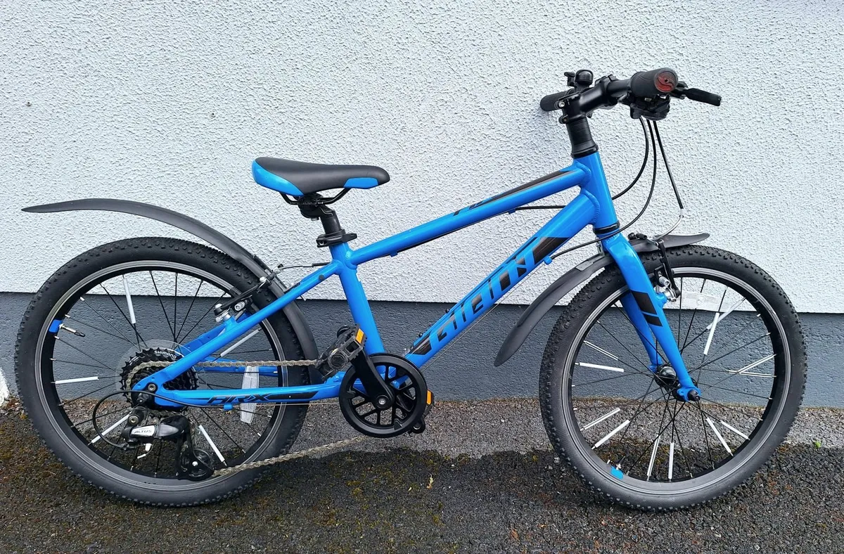 20" Giant Kids Mountain bike - Image 1