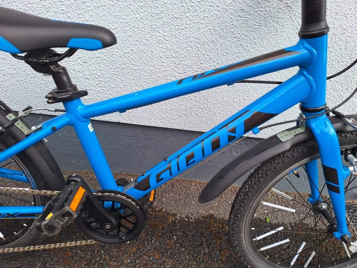 20" Giant Kids Mountain bike - Image 3