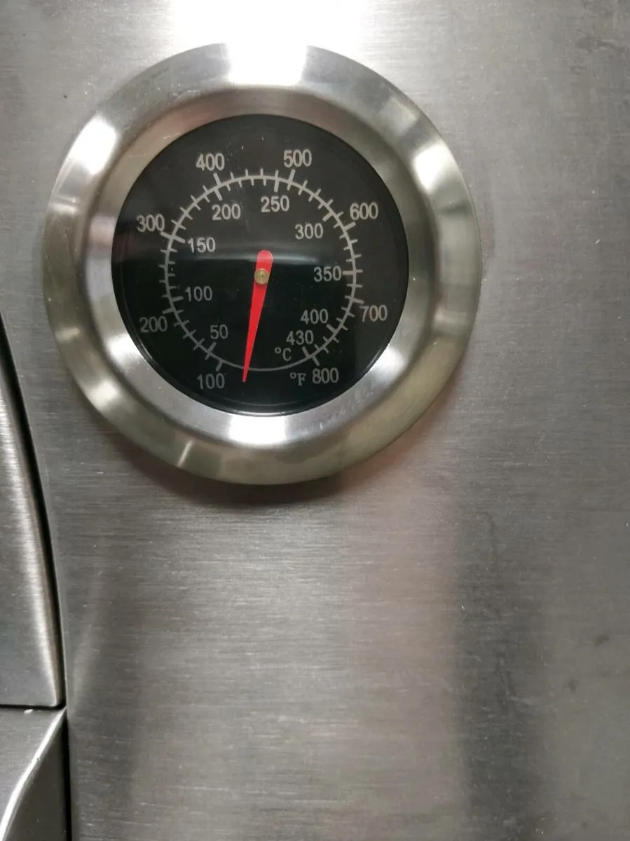 Gas & Wood Fired Dual fuel Pizza Oven - Image 2