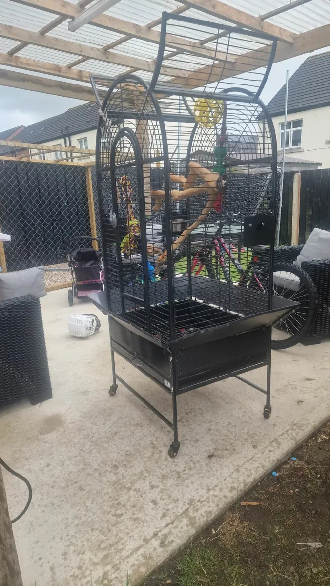 Parrot bird cage