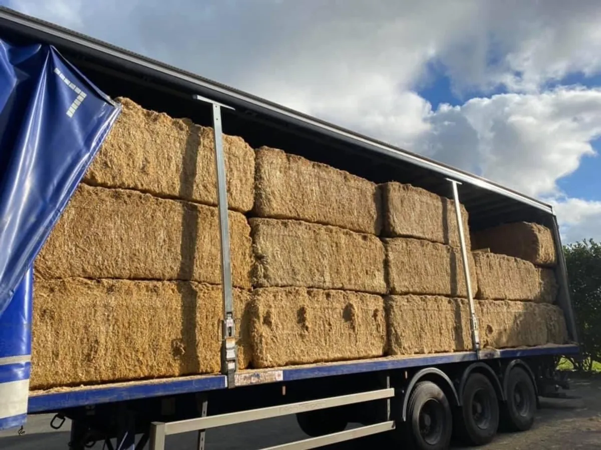 Top Qulality Fine Chopped Imported Straw - Image 2