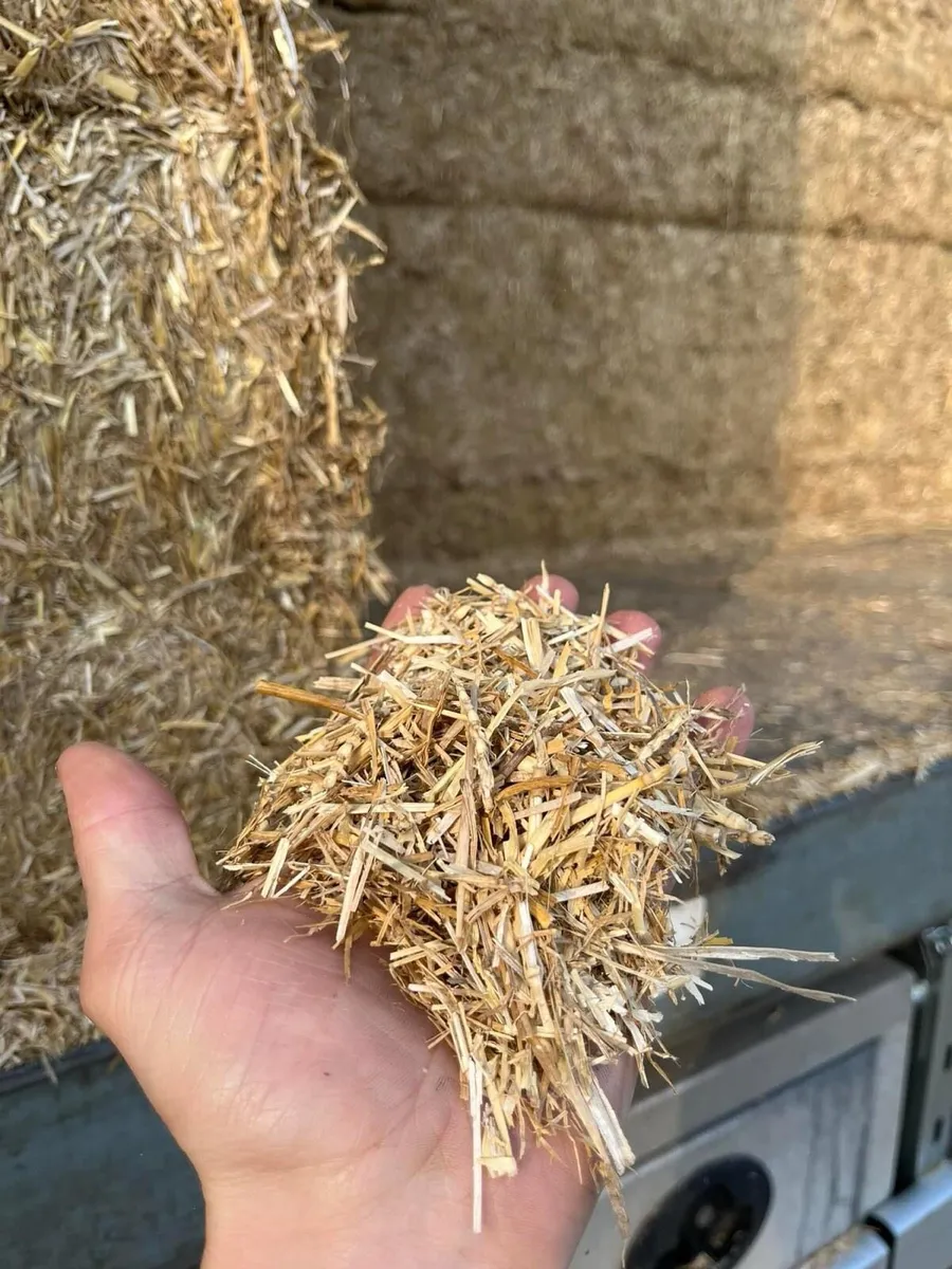 Top Qulality Fine Chopped Imported Straw - Image 3