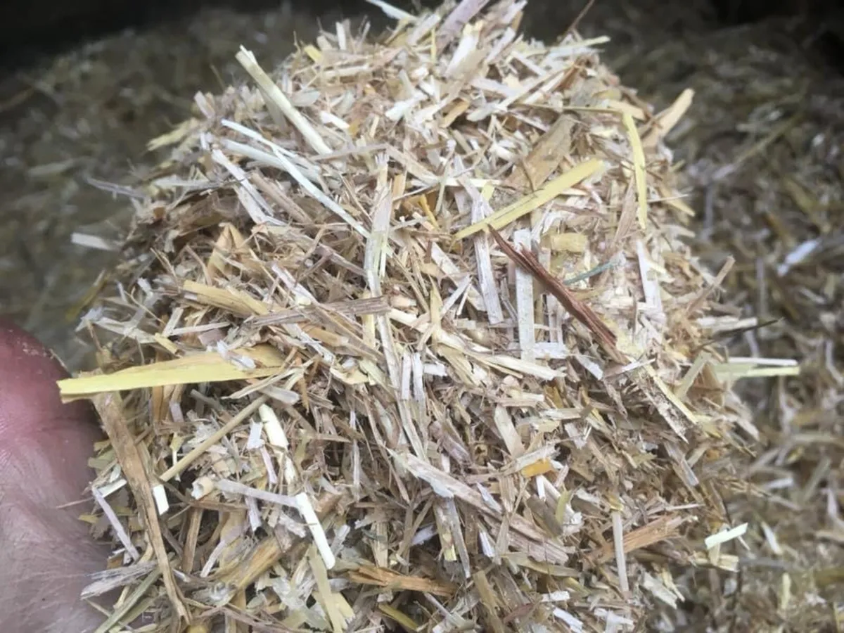 Top Qulality Fine Chopped Imported Straw - Image 4