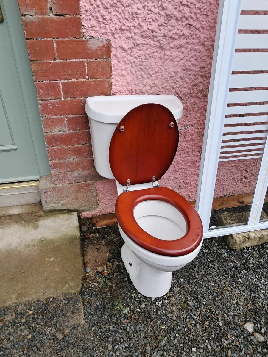 Shower tray, door, sink and toilet - Image 1