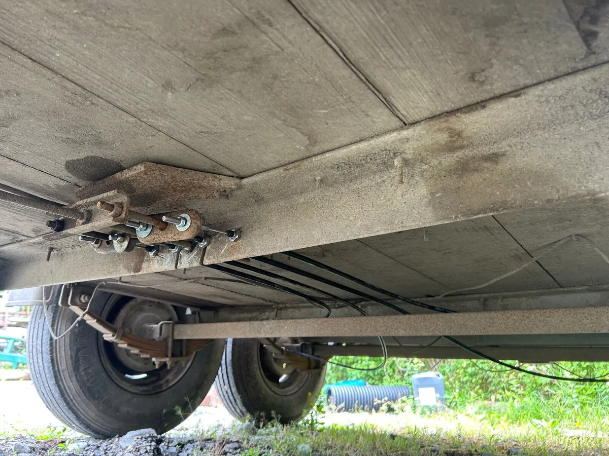 Nugent Cattle trailer - Image 2