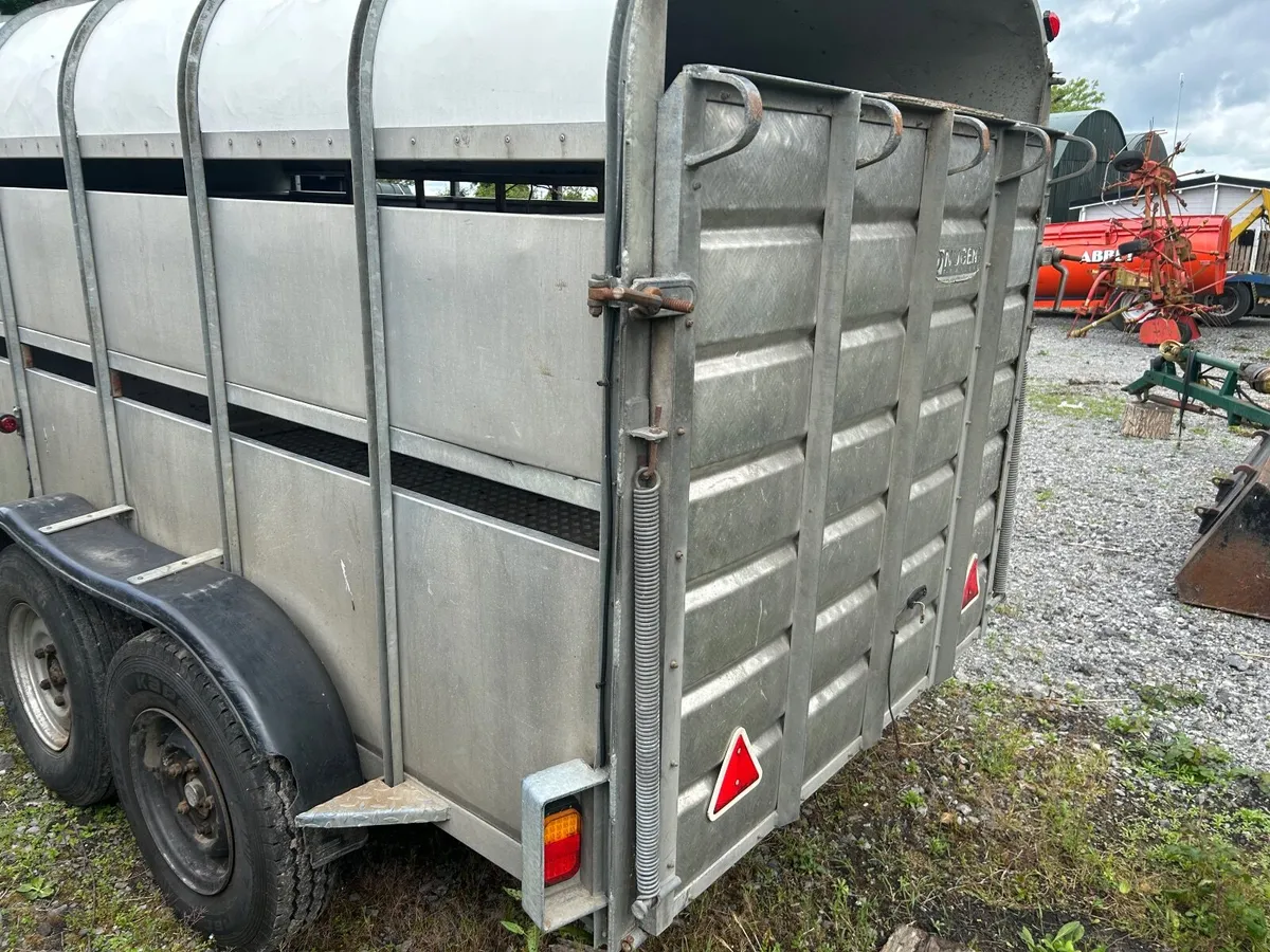 Nugent Cattle trailer - Image 3