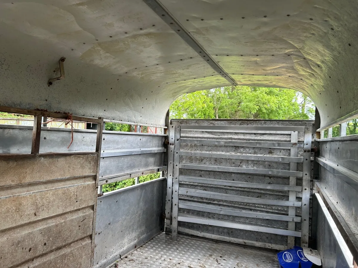 Nugent Cattle trailer - Image 4