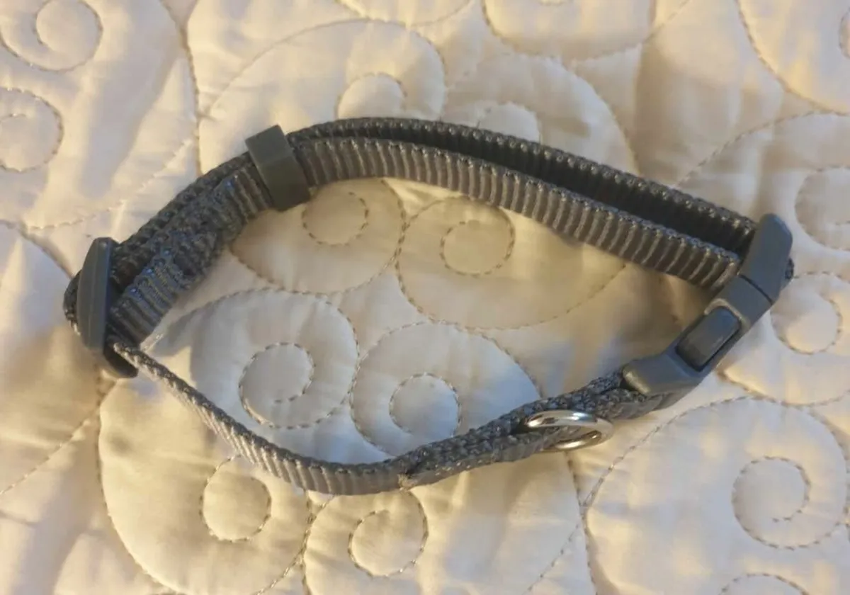 Toy Dog Collar. - Image 1