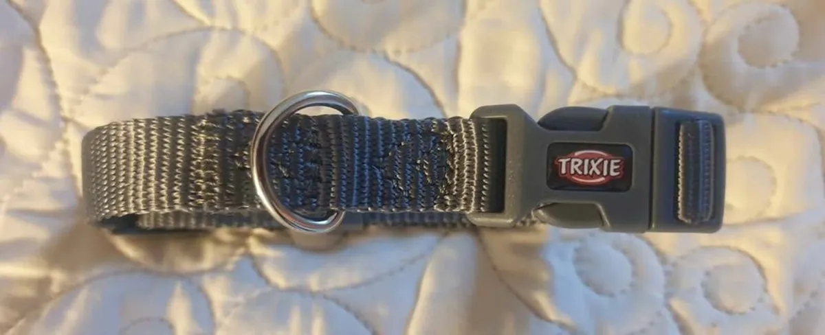 Toy Dog Collar. - Image 2