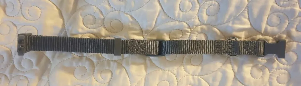 Toy Dog Collar. - Image 3