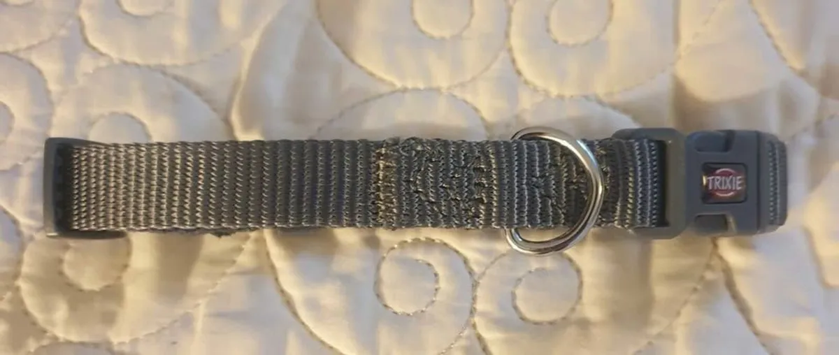 Toy Dog Collar. - Image 4
