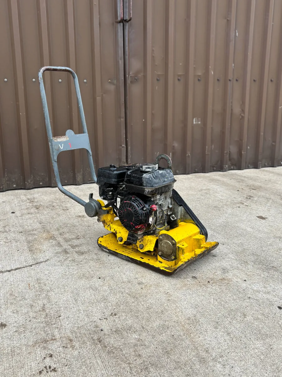 Wacker Neuson VP1135 Wacker Plate - Image 1