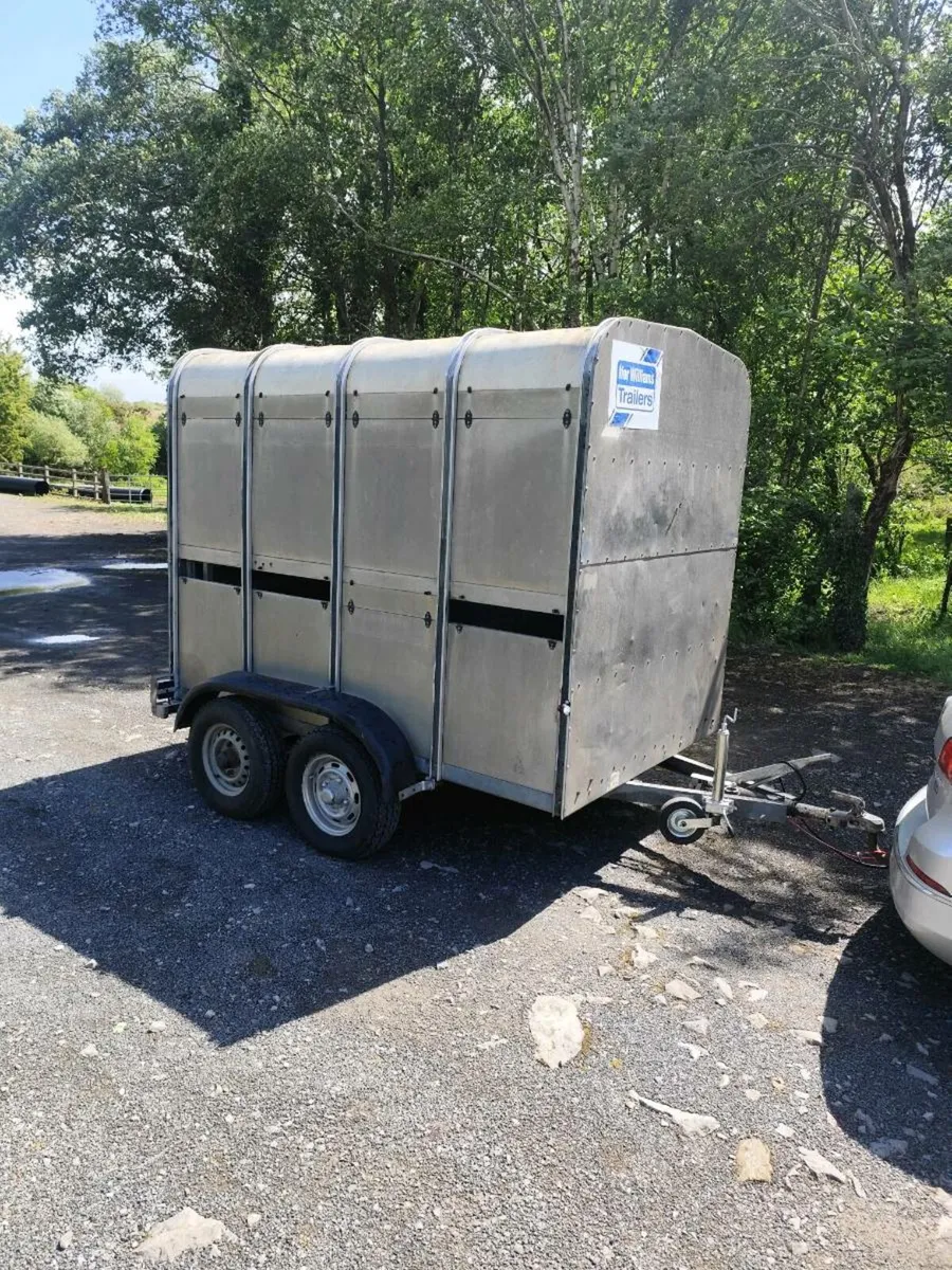 8 x 5 Ifor cattle trailer - Image 2