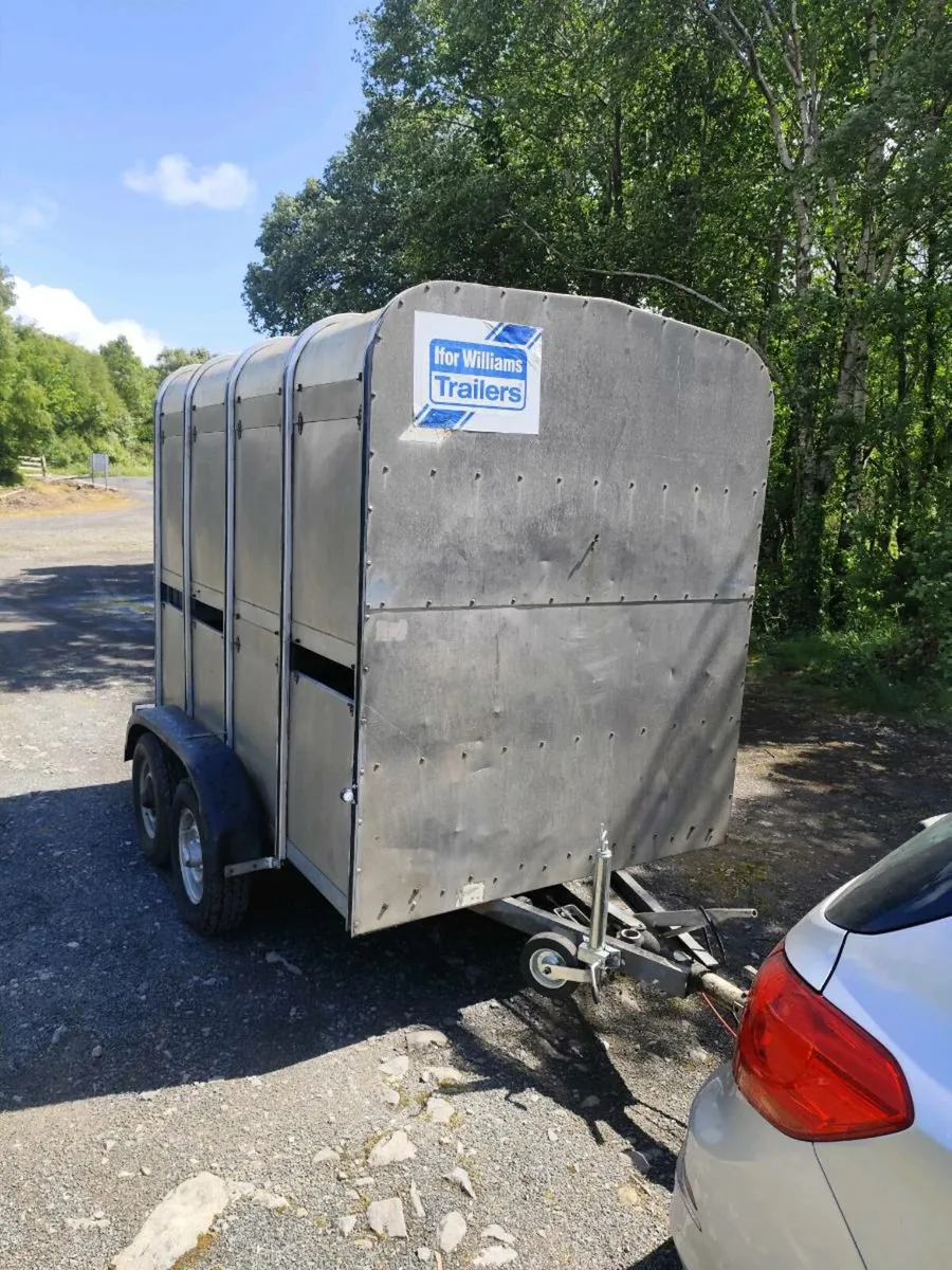 8 x 5 Ifor cattle trailer - Image 3