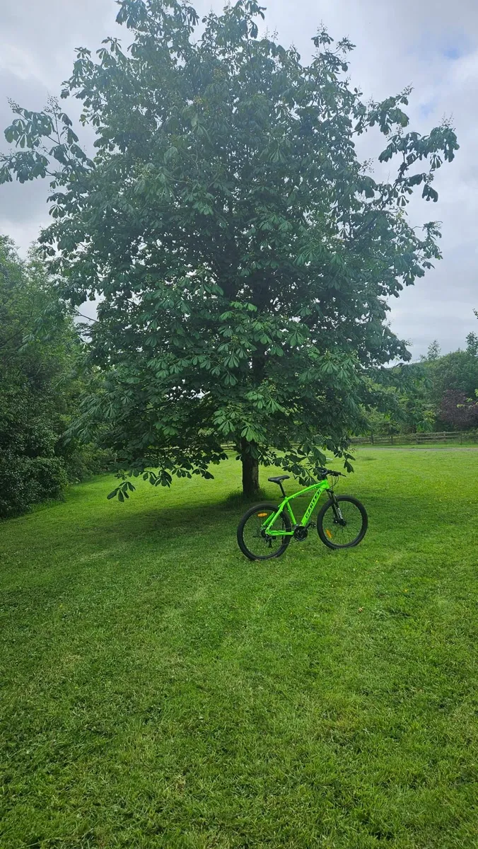 Bycicle - Image 2