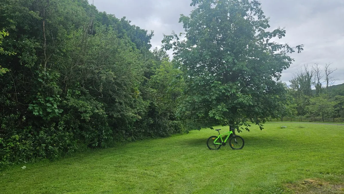 Bycicle - Image 4