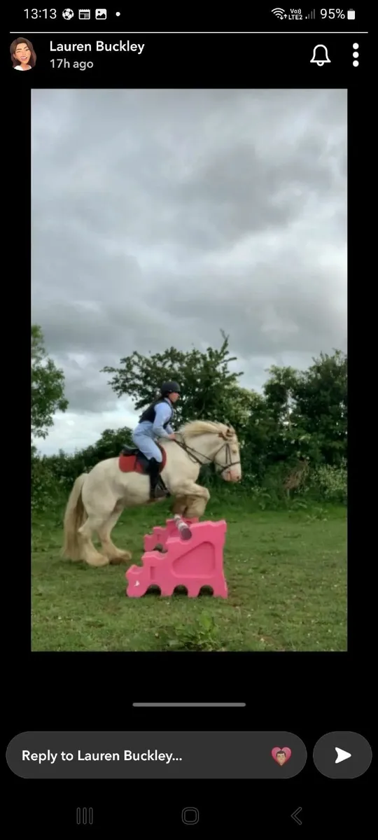 Horse - Image 2