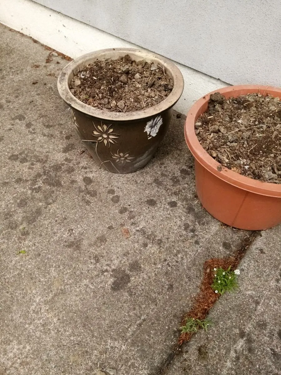 Flower pots - Image 1