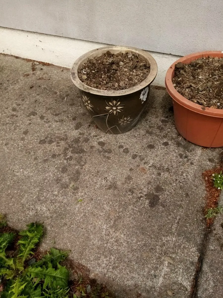 Flower pots - Image 2