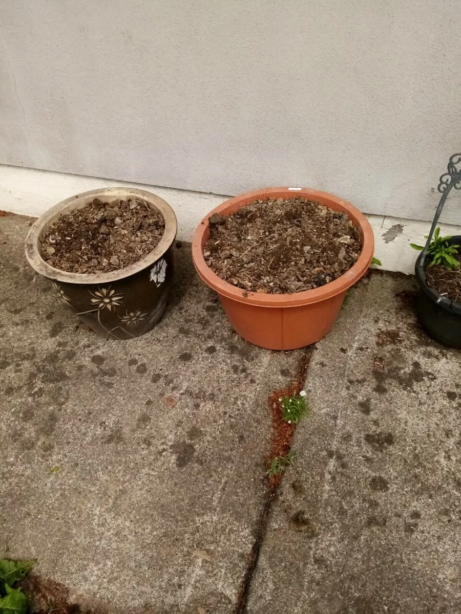 Flower pots - Image 3