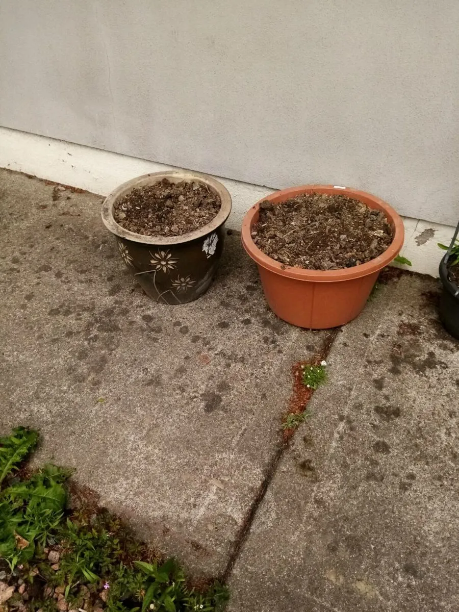 Flower pots - Image 4