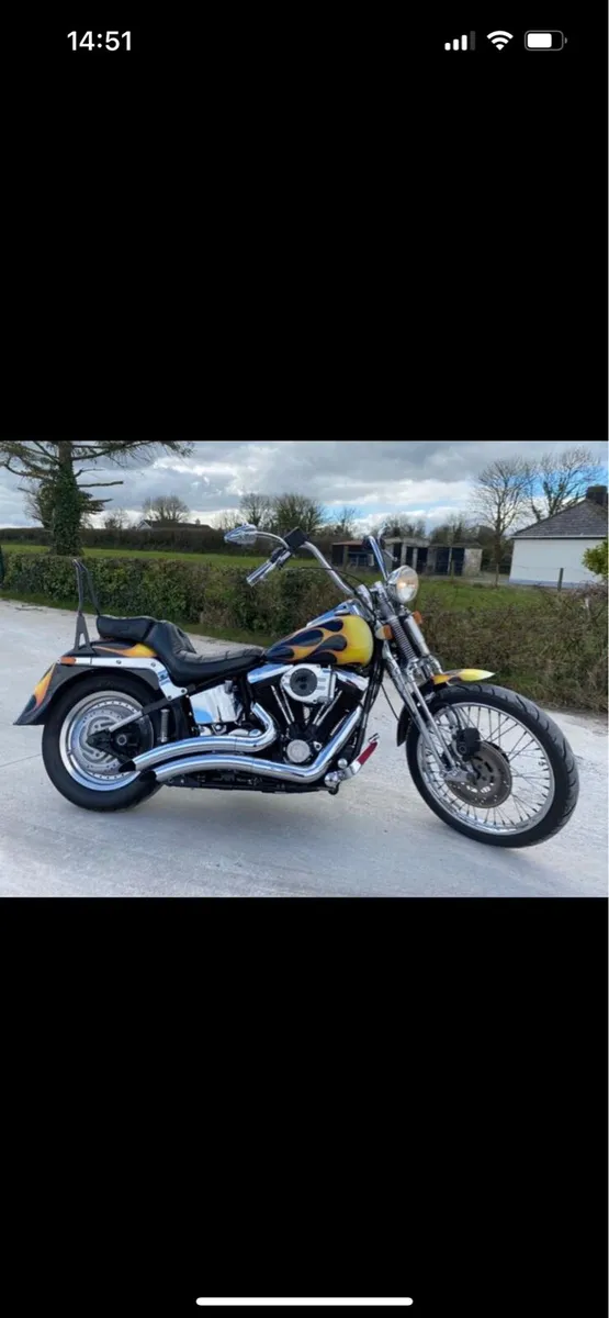 1998 Harley Davidson softail springer - Image 1