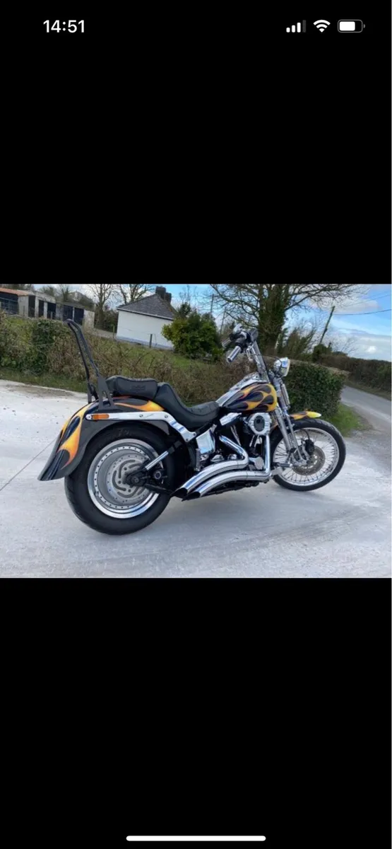 1998 Harley Davidson softail springer - Image 2