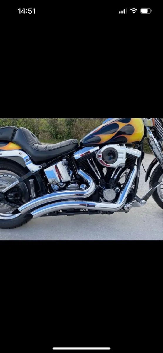 1998 Harley Davidson softail springer - Image 3