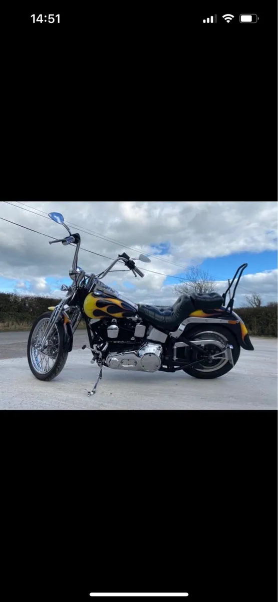 1998 Harley Davidson softail springer - Image 4