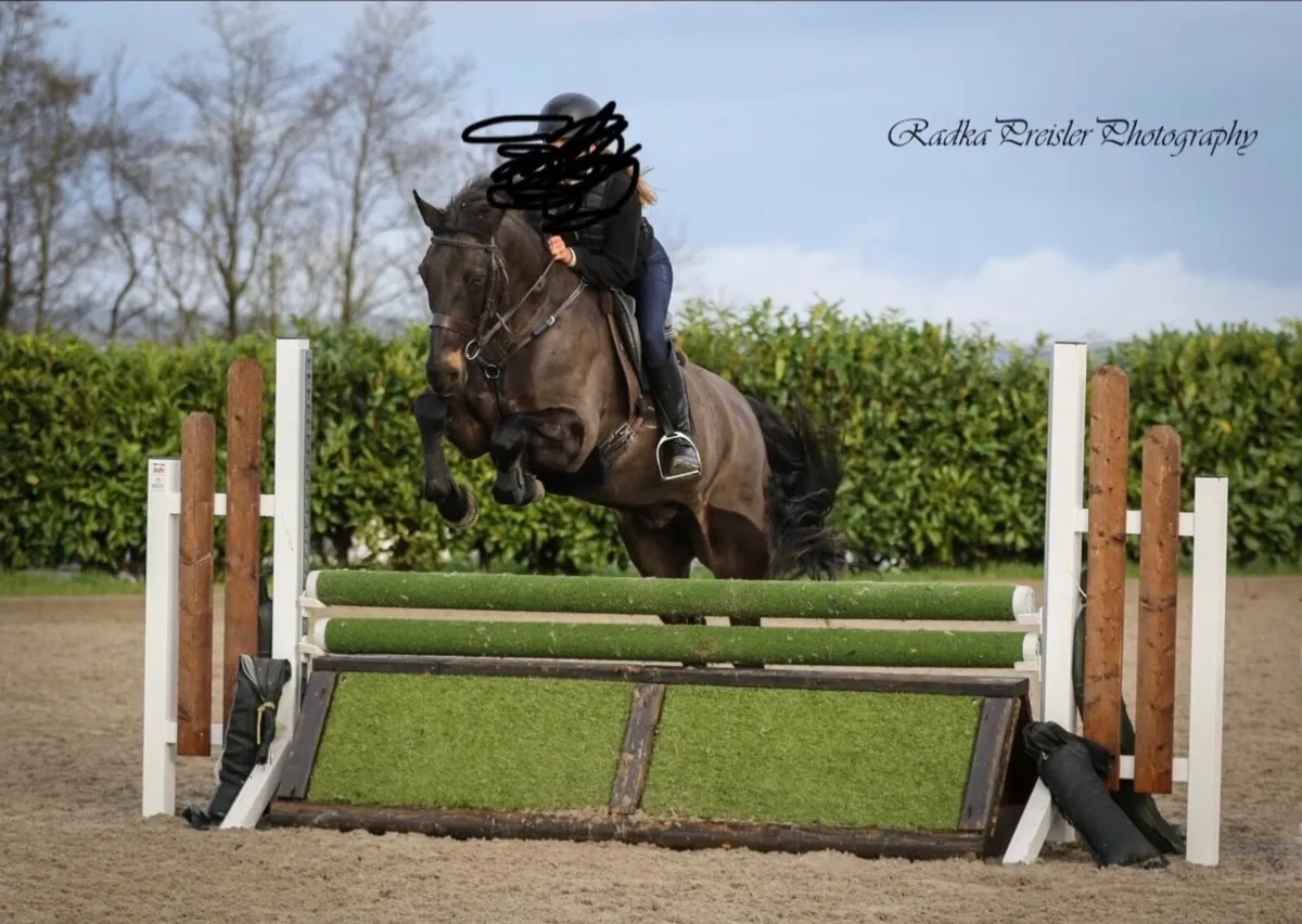 Pony - Image 1