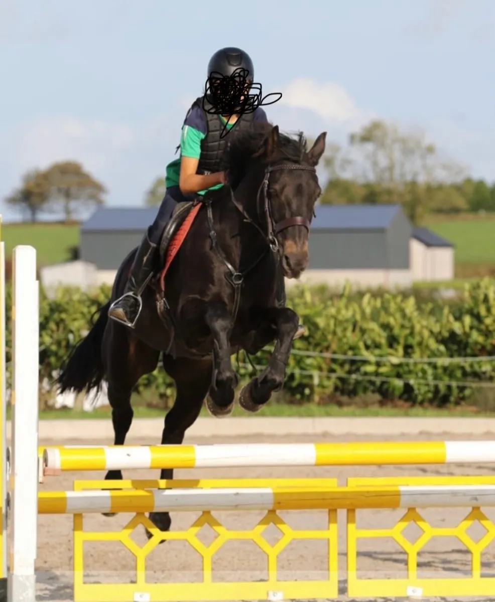 Pony - Image 2
