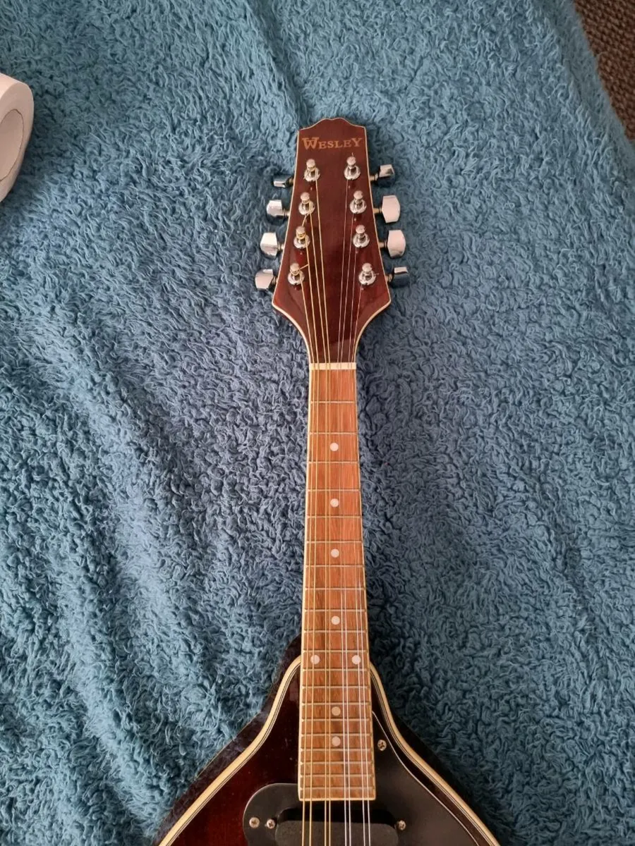 Mandolin - Image 2