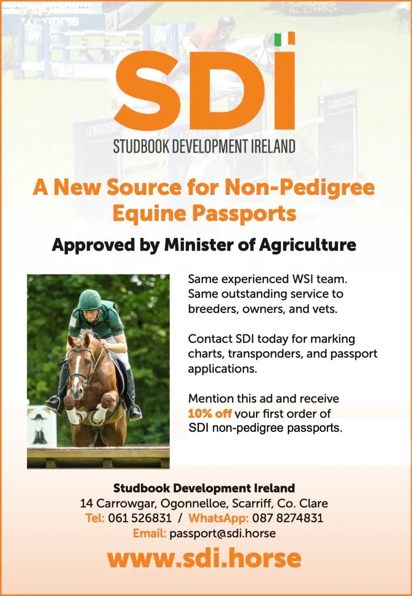 Non-Pedigree Horse Passports - Image 1