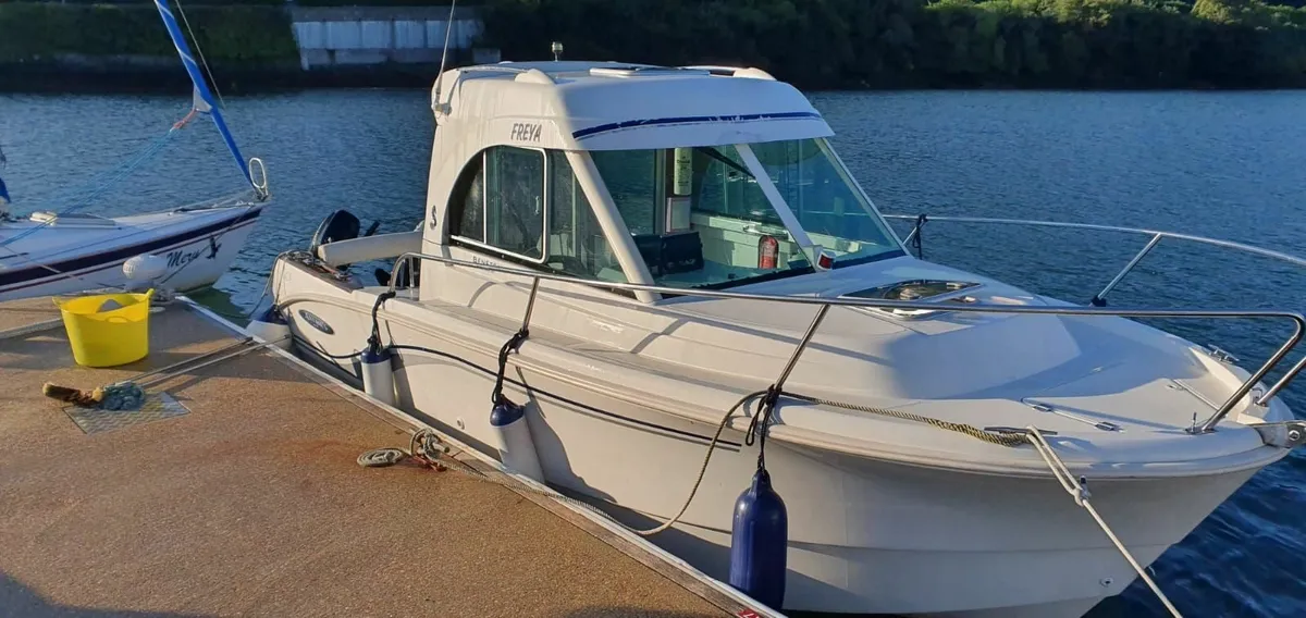 Beanatue Anatres 650 - Image 2