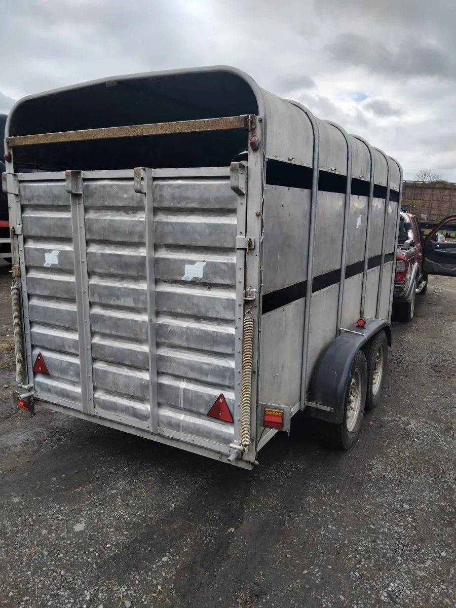 Cattle trailer - Image 2