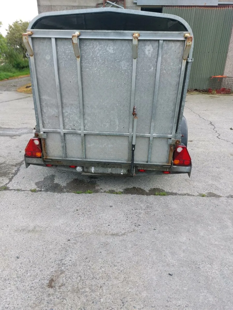 Nugent Trailer - Image 4