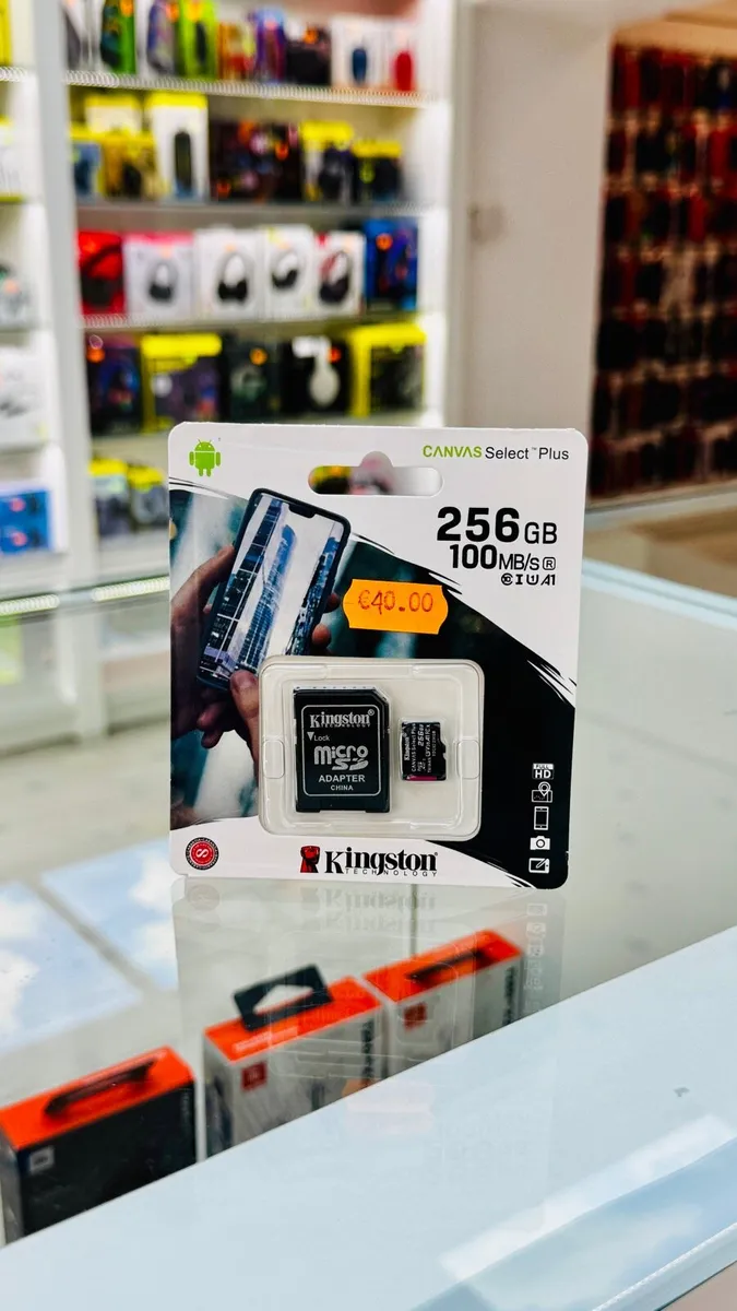 Micro SD card  (256GB )