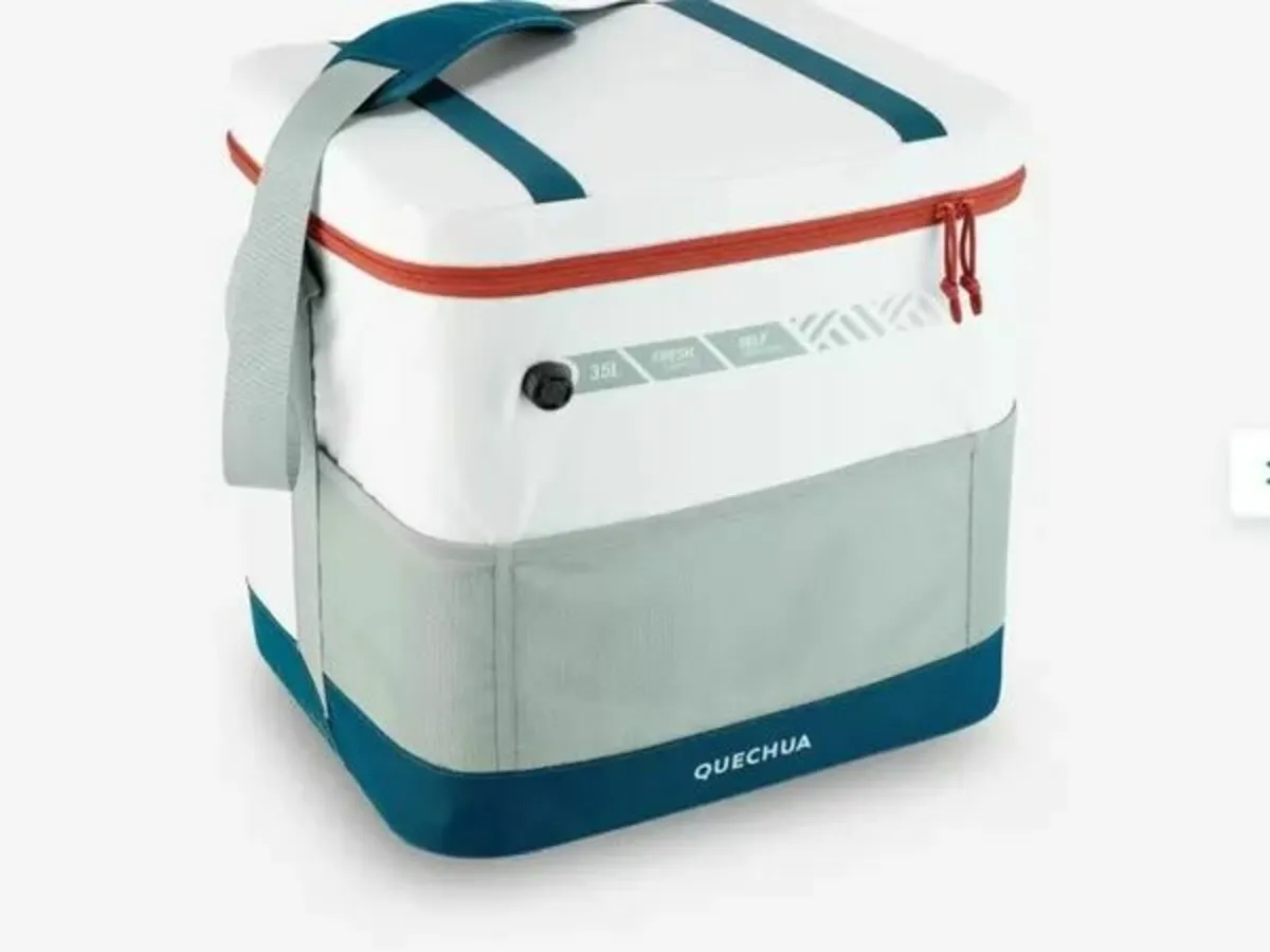 Cooler bag - great for picnics