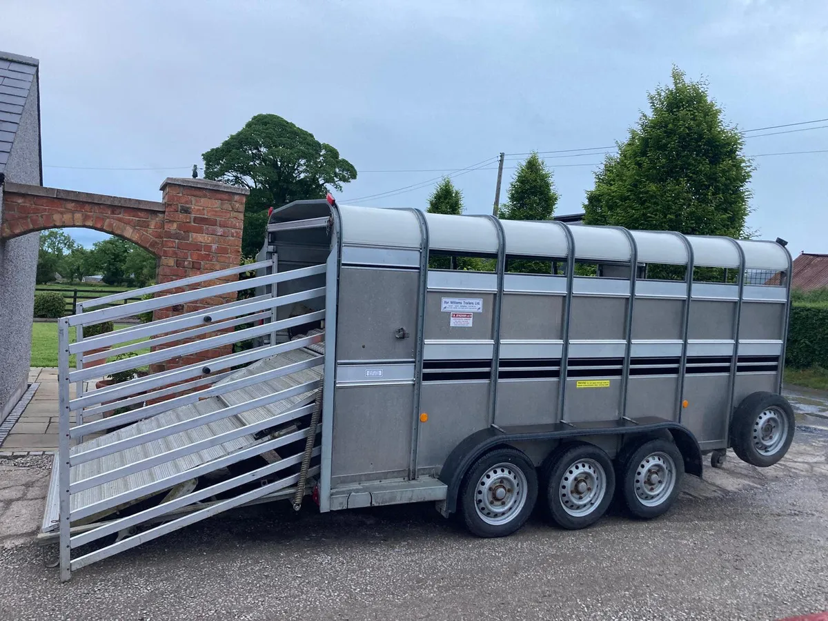 2017 Ifor Williams 14ft Sheep Decks Trailer - Image 2