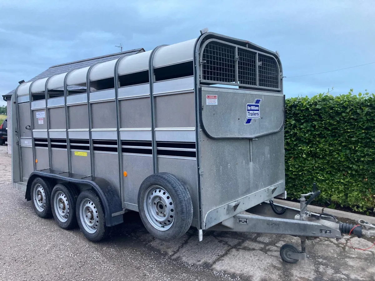2017 Ifor Williams 14ft Sheep Decks Trailer - Image 3