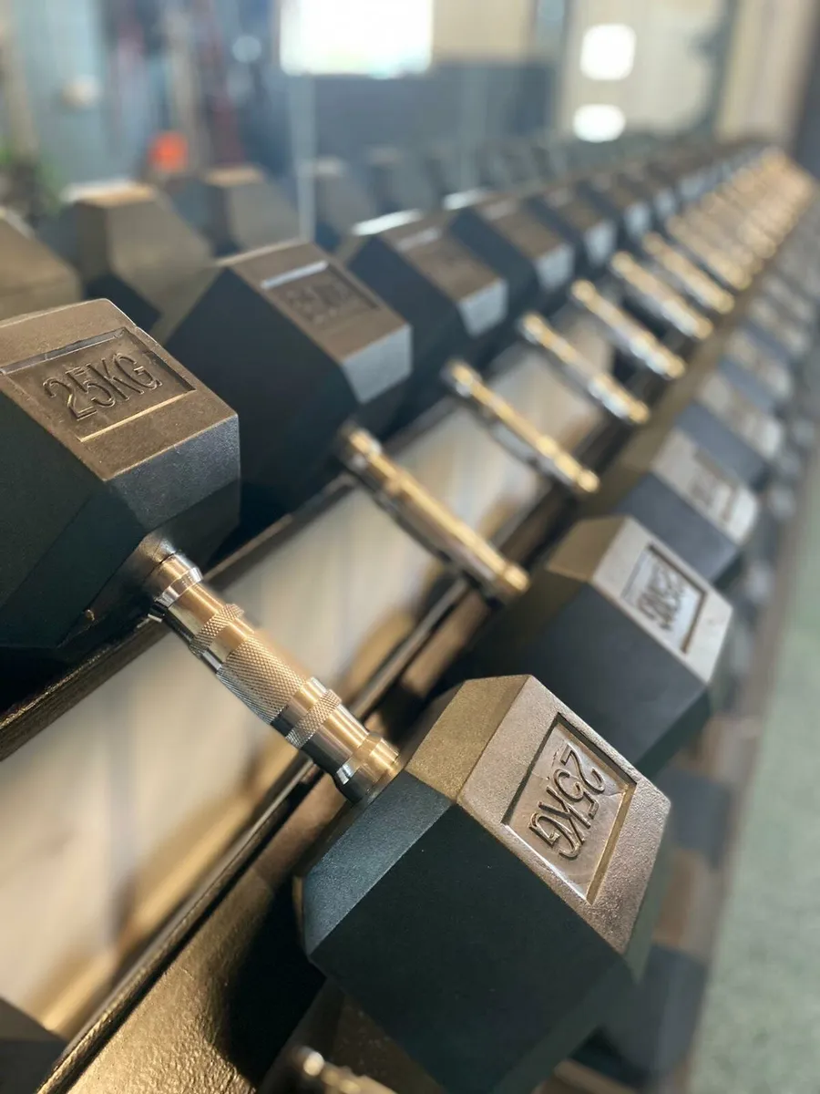 Gym equipment Dumbells Bumpers - Image 4