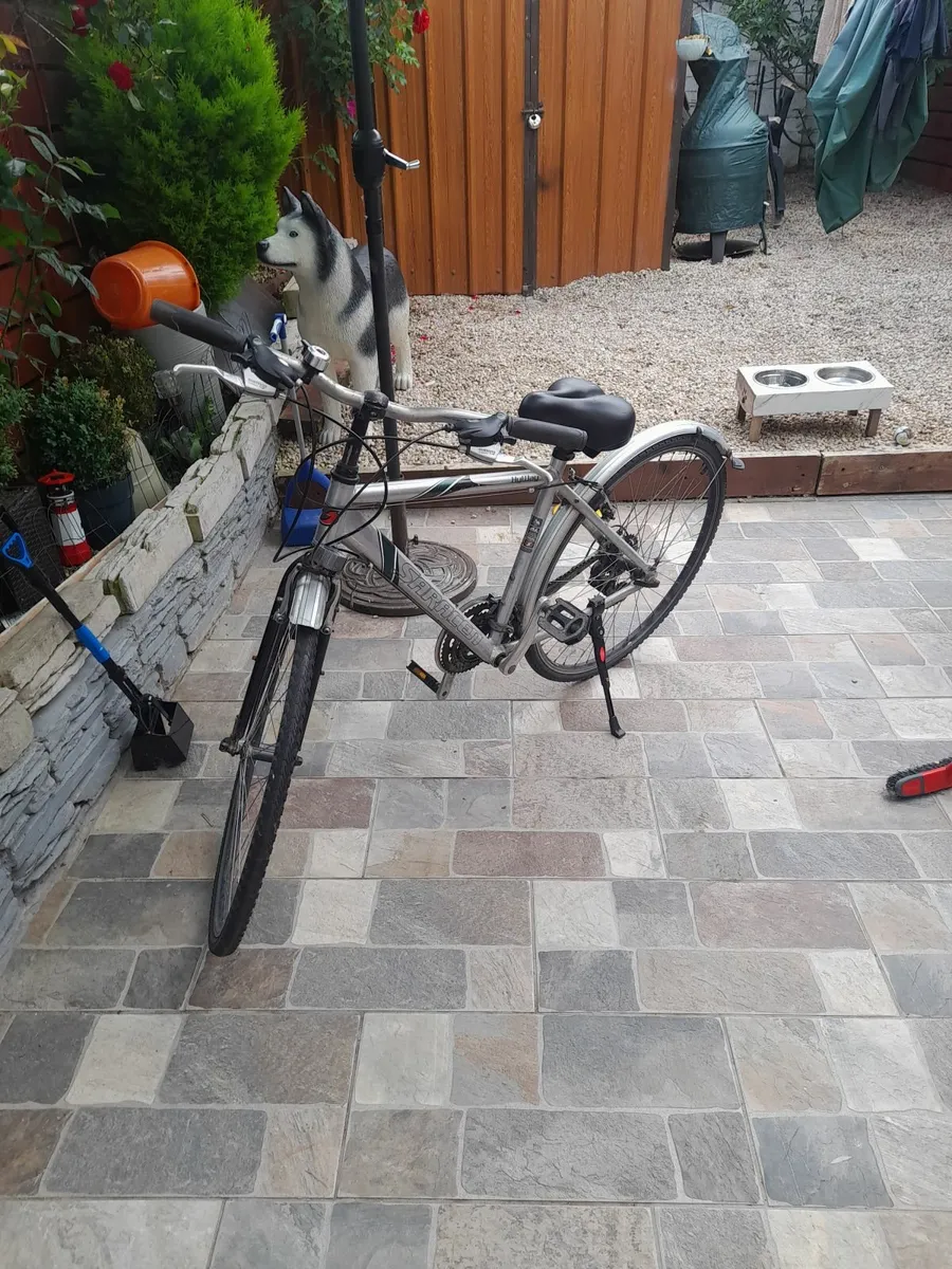 Bicycle - Image 1